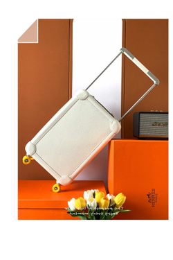 Hermes R.M.S Cabin Suitcase