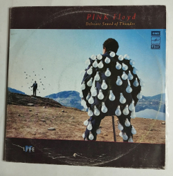 Винтажная виниловая пластинка LP Pink Floyd Delicate Sound Of Thunder (СССР 1990) VG Cover