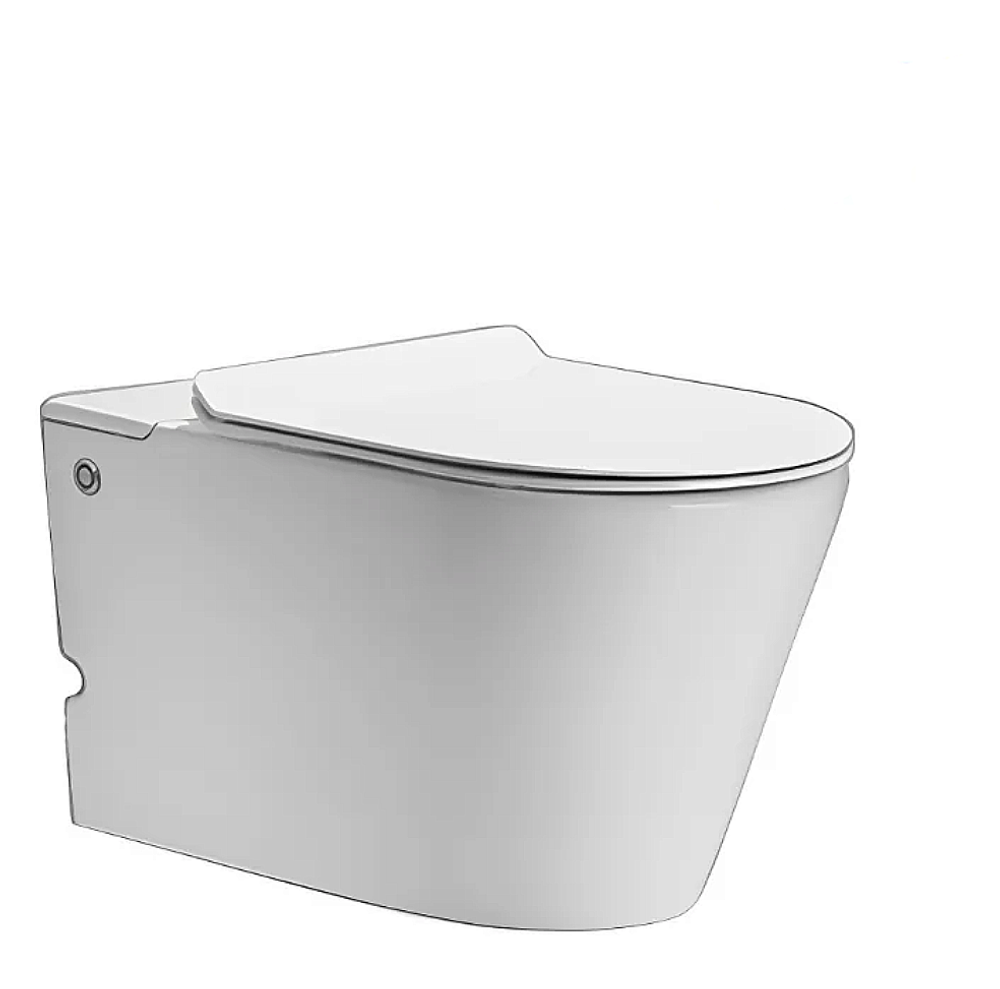Унитаз подвесной CeruttiSpa Argentera Aria Pulse 10590 белый, безободковый, с крышкой микролифт