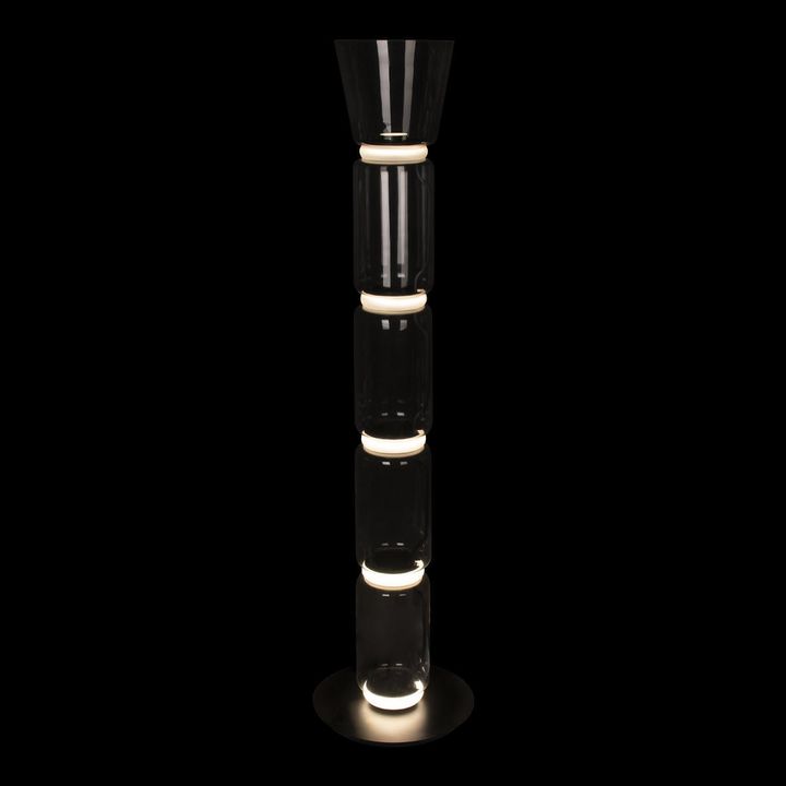 Торшер светодиодный Loft IT Noctambule 10193F/L