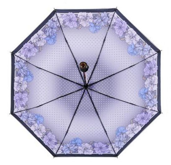 Зонт с серебристым куполом Рисунок внутри 255-В-04