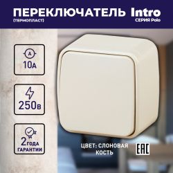 3-103-02 Intro Переключатель, 10А-250В, IP20, ОУ, Polo, сл.кость