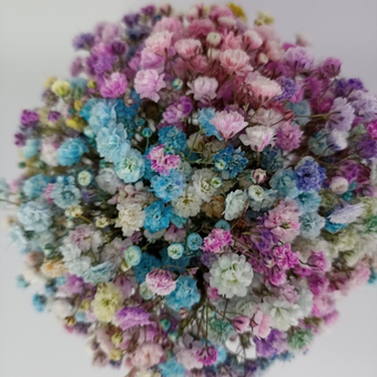 Стаканчик с гипсофилой С днем рождения!