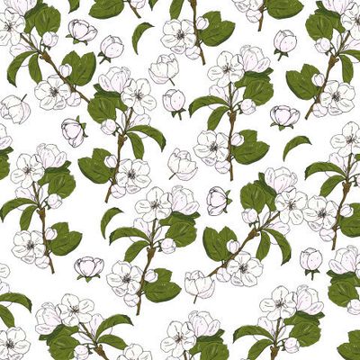 цветы яблони, вишни