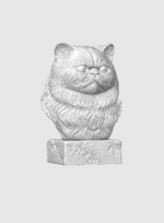 Персидская Кошка