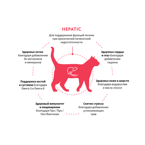 Сухой диетический корм GRANDORF VETERINARY DIET Cat HEPATIC для кошек для поддержания функции печени при ХПН