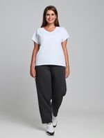 Брюки Авенсис-3 Виотекс ГРАФИТОВЫЙ