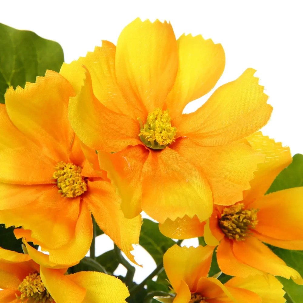 Цветочная композиция «Поцелуй лета» Космея желтая 20см