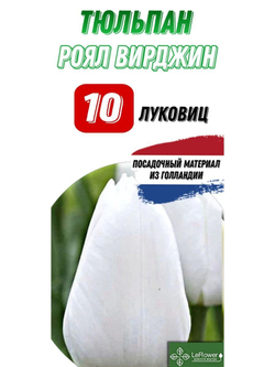 Тюльпан Роял вирджин 10 луковиц