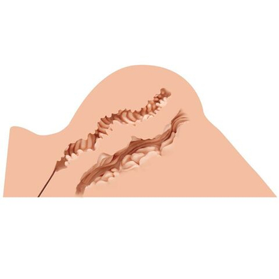 Мастурбатор-полуторс Naked Factory Hannah (Цвет: телесный)