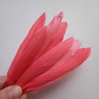 Перья утки пион 2 сорт 15 шт.