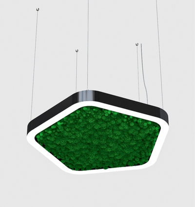 LAP five eco, подвесной/накладной