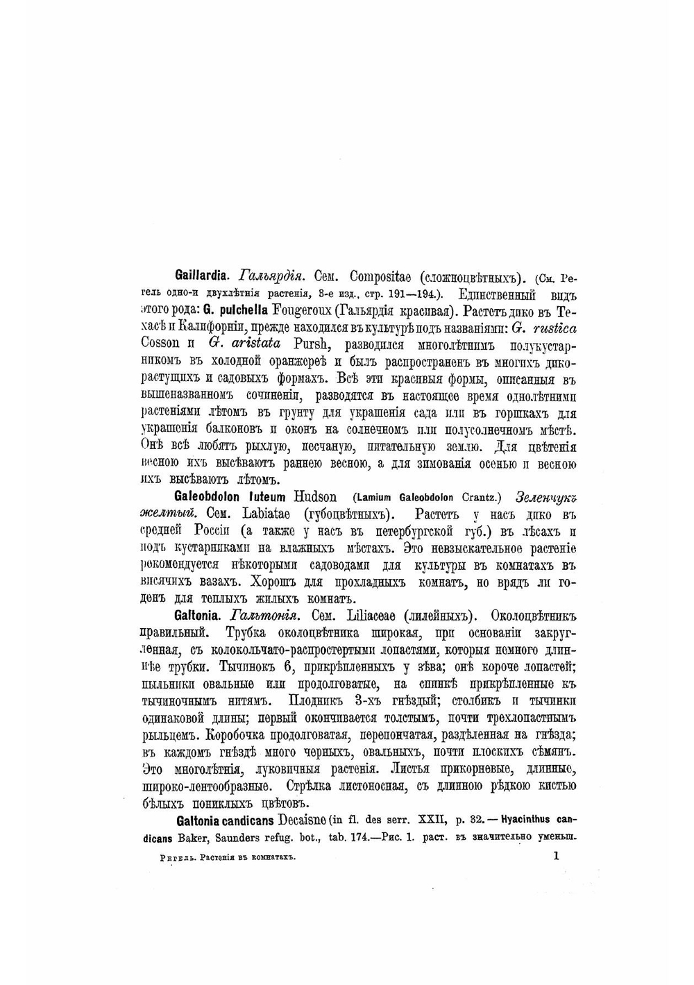 Содержание и воспитание растений в комнатах. Часть 2 | Регель Эдуард Людвигович