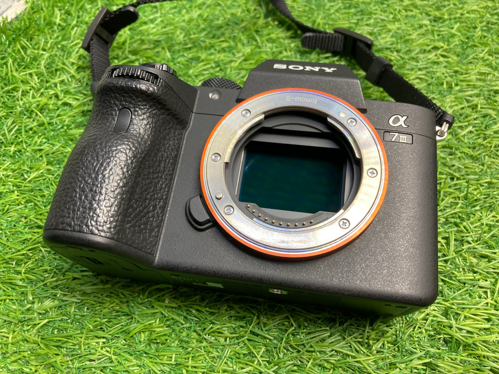 Sony A7 III (51.600 кадров)