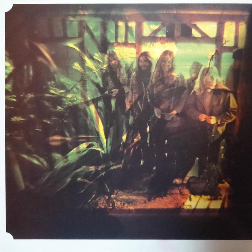 Nektar / A Tab In The Ocean (LP)