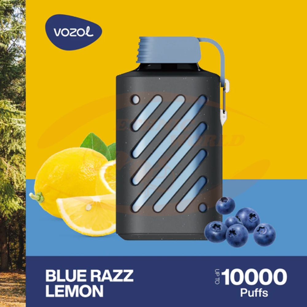 VOZOL GEAR 10000 - Blue Razz Lemon (5% nic)