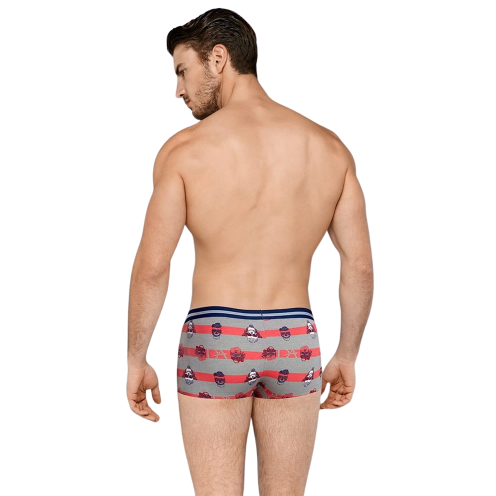 Мужские трусы хипсы серые с принтом Cool Forever Doreanse 1737