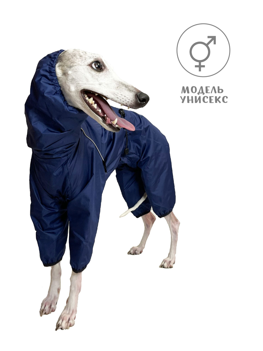 Дождевик комбинезон для собак мелких и средних пород Монморанси, цвет: синий/черный, S4