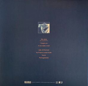 Tindersticks / Distractions (LP)