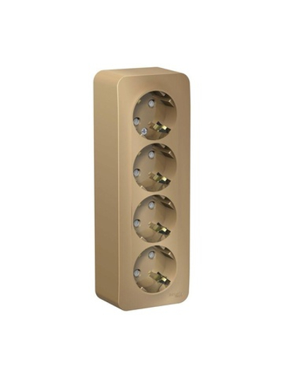 Розетка 4-м ОП Blanca 16А IP20 250В с заземл. защ. шторки с изолир. пластиной титан SE BLNRA011414