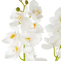 GAEM Цветочная композиция "Орхидея", L18 W18 H82 см