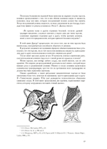 Книга Лилит. Гурвиц и другие (PDF)