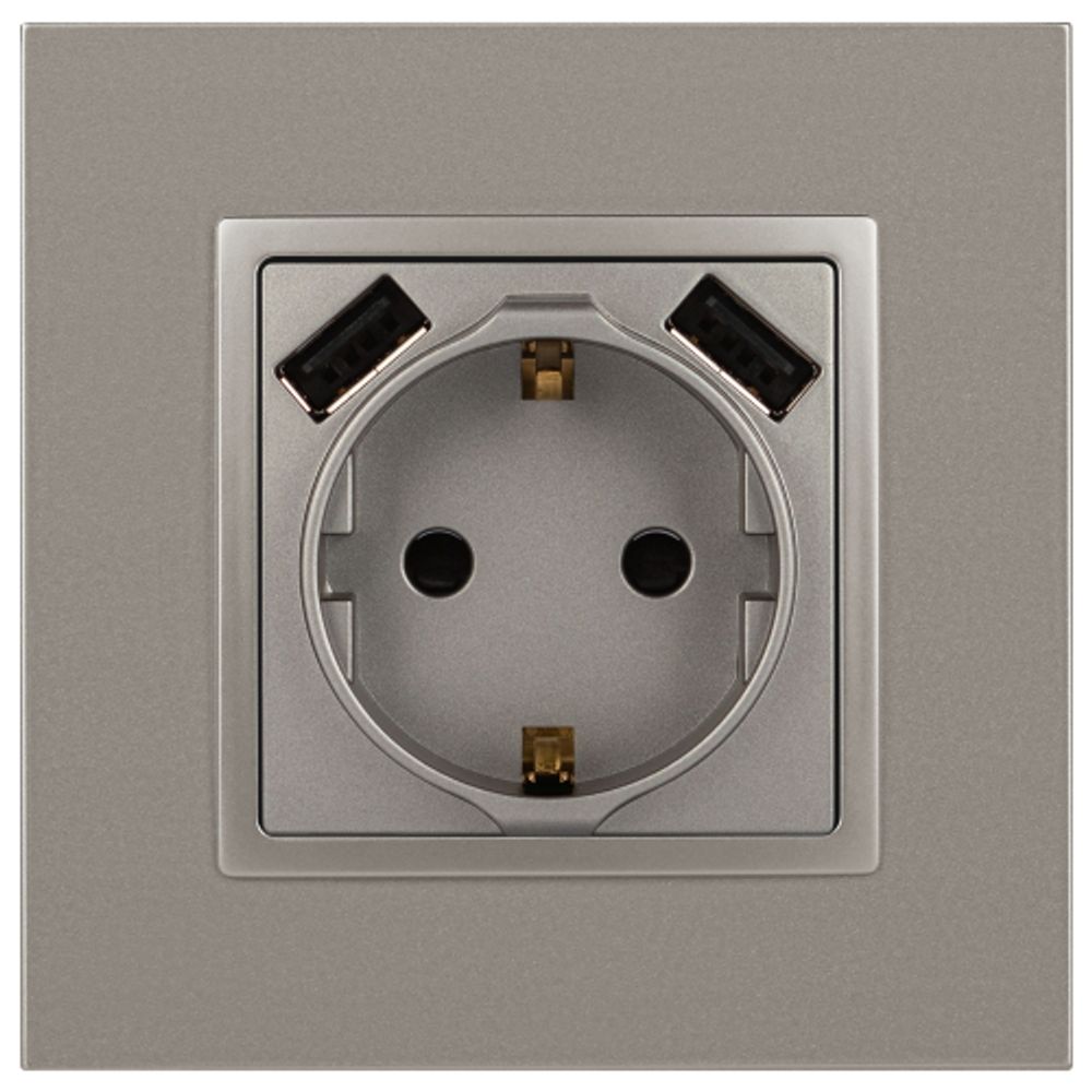 Розетка ЭРА Elegance 14-4109-16 2P+E 16A-250В штор. с 2xUSB 5В-3А титан | Розетки и выключатели