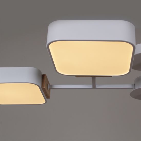 03363-0.3-08 WH+WOOD светильник потолочный