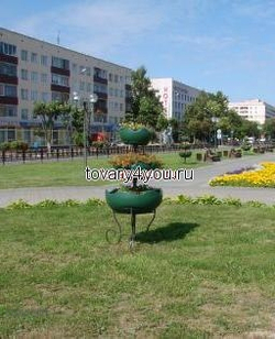 Цветочница Елочка средняя