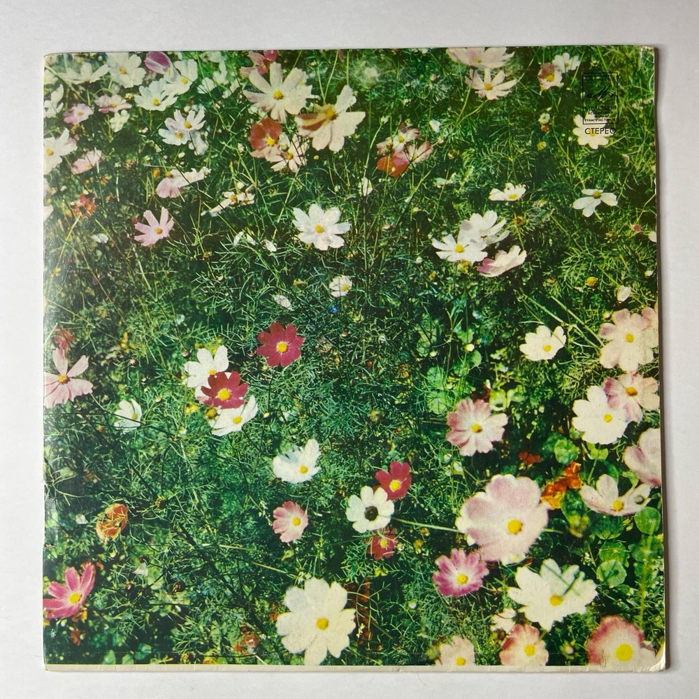 Винтажная виниловая пластинка LP Ирина Аллегрова Странник Мой (Россия 1992)