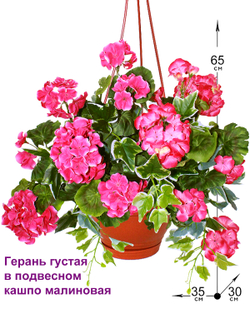 Искусственные цветы Герань густая малиновая 65см в подвесном кашпо