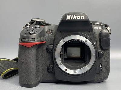 Nikon D300 12.000 кадров