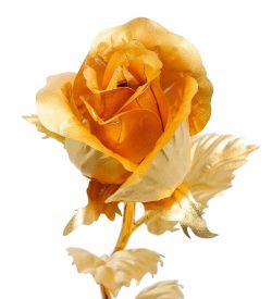 Gold Leaf GL-RC-001 Роза - бутон