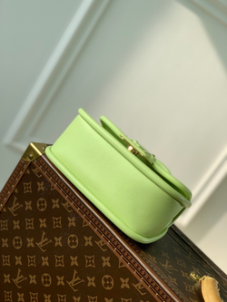 Louis Vuitton Hide & Seek Bag