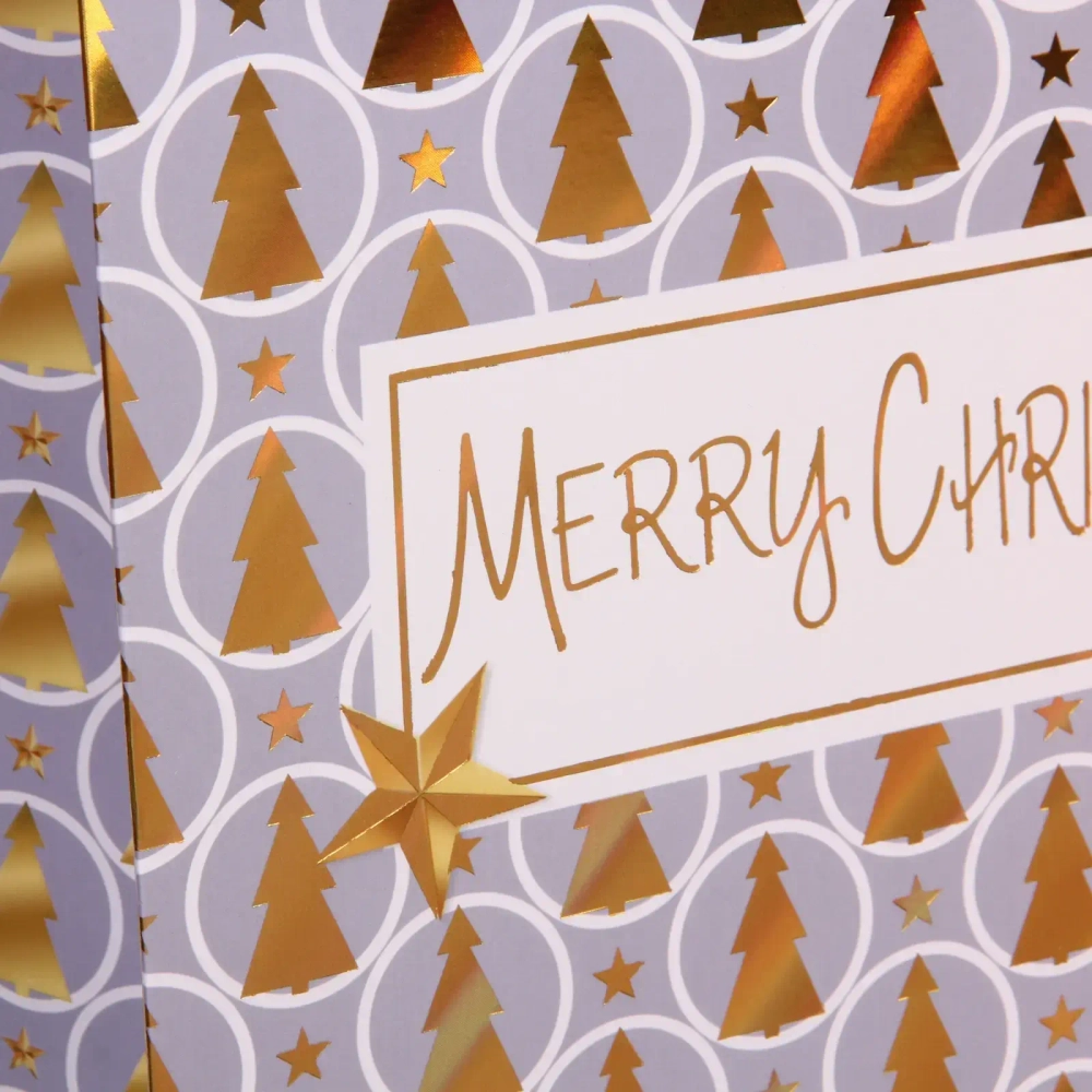 Пакет подарочный «Волшебный Новый год» 26*32*10 см, микс