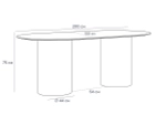 Стол обеденный овальный Mono 200х100