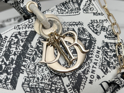 Christian Dior Lady D-Joy Bag 26 cm