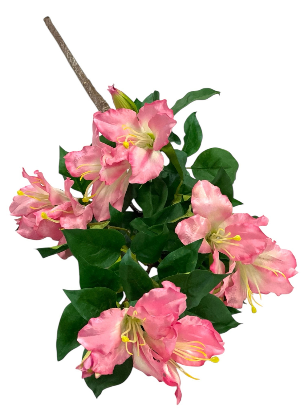 Альстромерия розовая