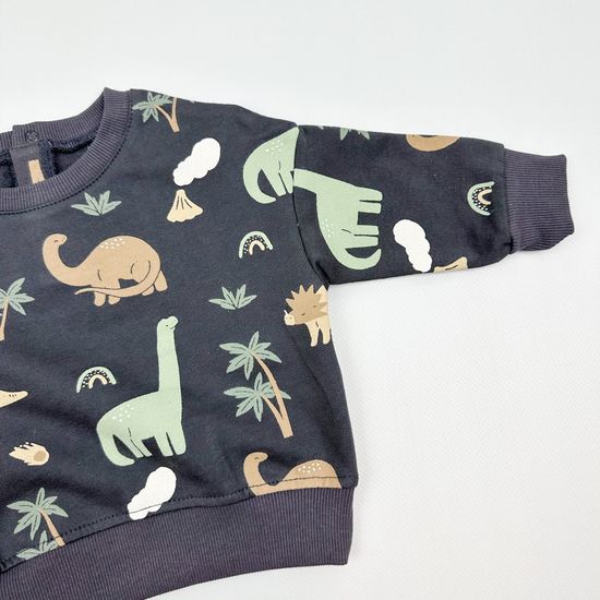 Свитшот "Динозавры" из футера с начесом, Графит