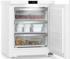 Морозильник Liebherr Fe 1003-20 001