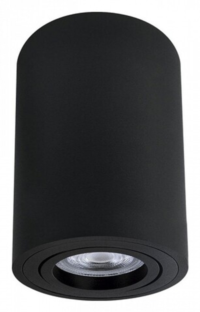 Накладной светильник Arte Lamp Sentry A1566PL-1BK