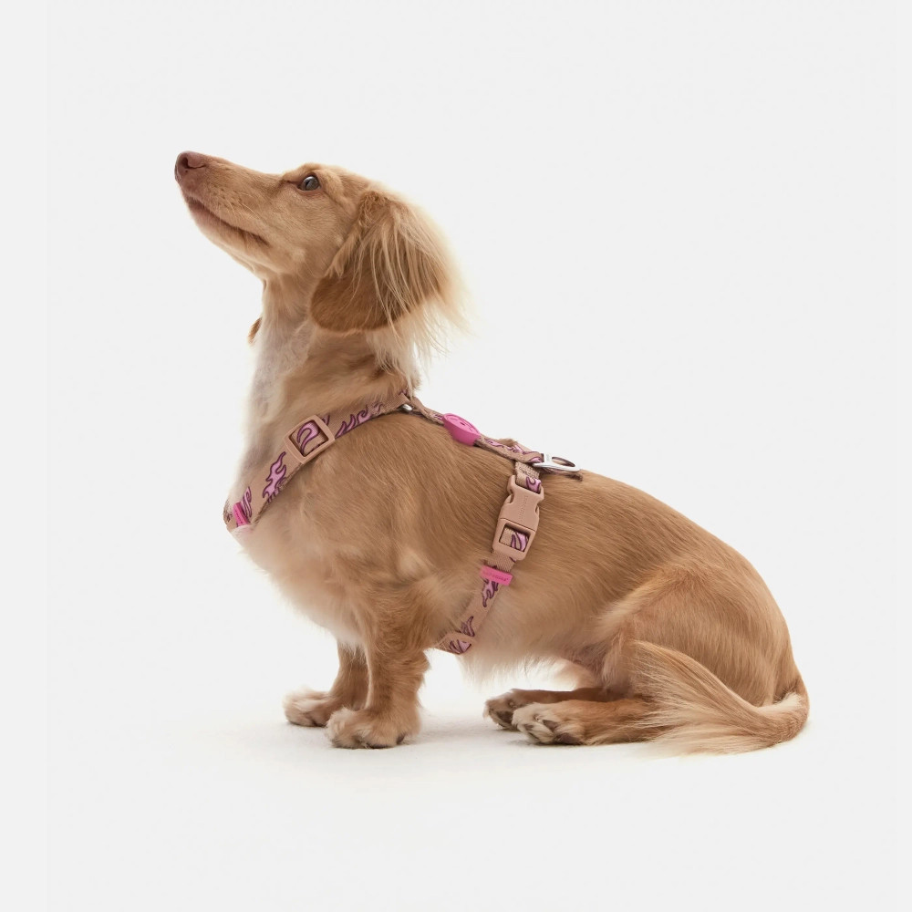 Анатомическая шлейка Hot Flames