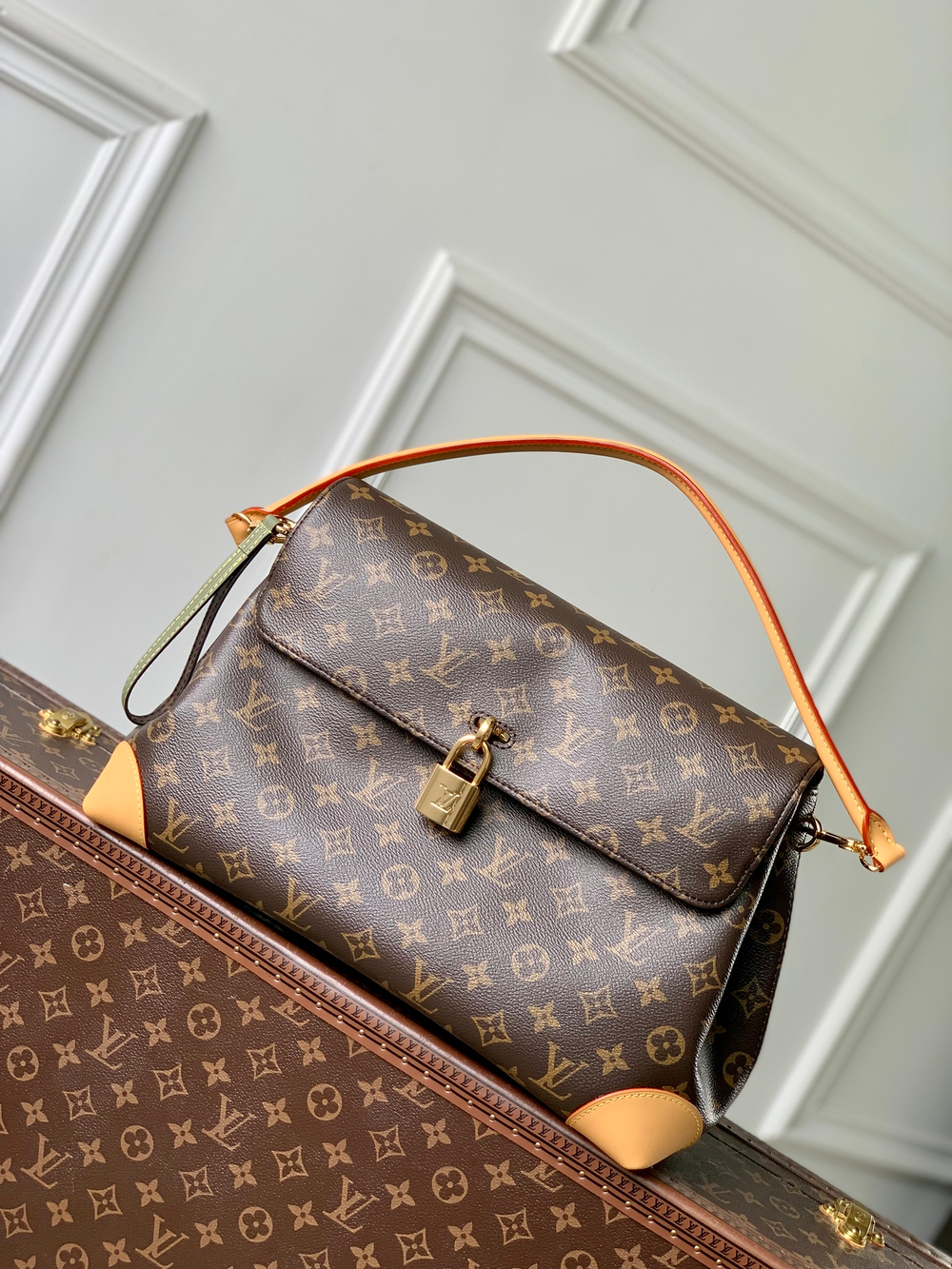 Louis Vuitton Hide Away MM