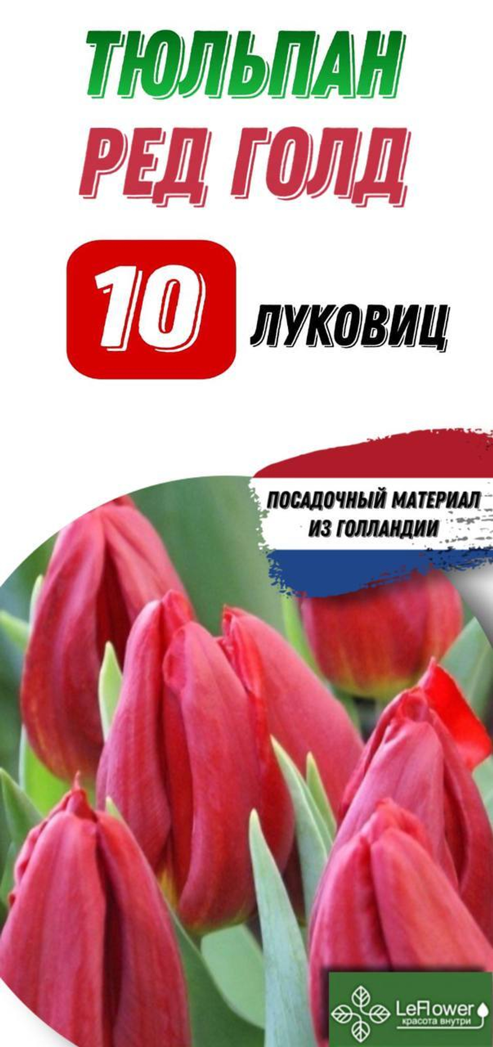 Тюльпан Луковица, Ред Голд, 10шт
