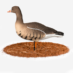 Белолобый гусь Duck Mania "ALFA"