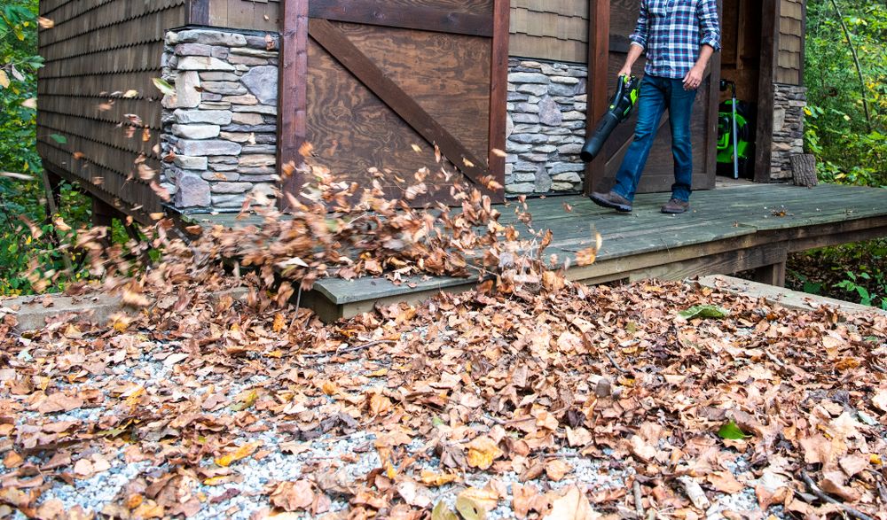 Аккумуляторный воздуходув Greenworks GD60ABK4, 2405607UB,60v, АКБ 4 А·ч. и ЗУ