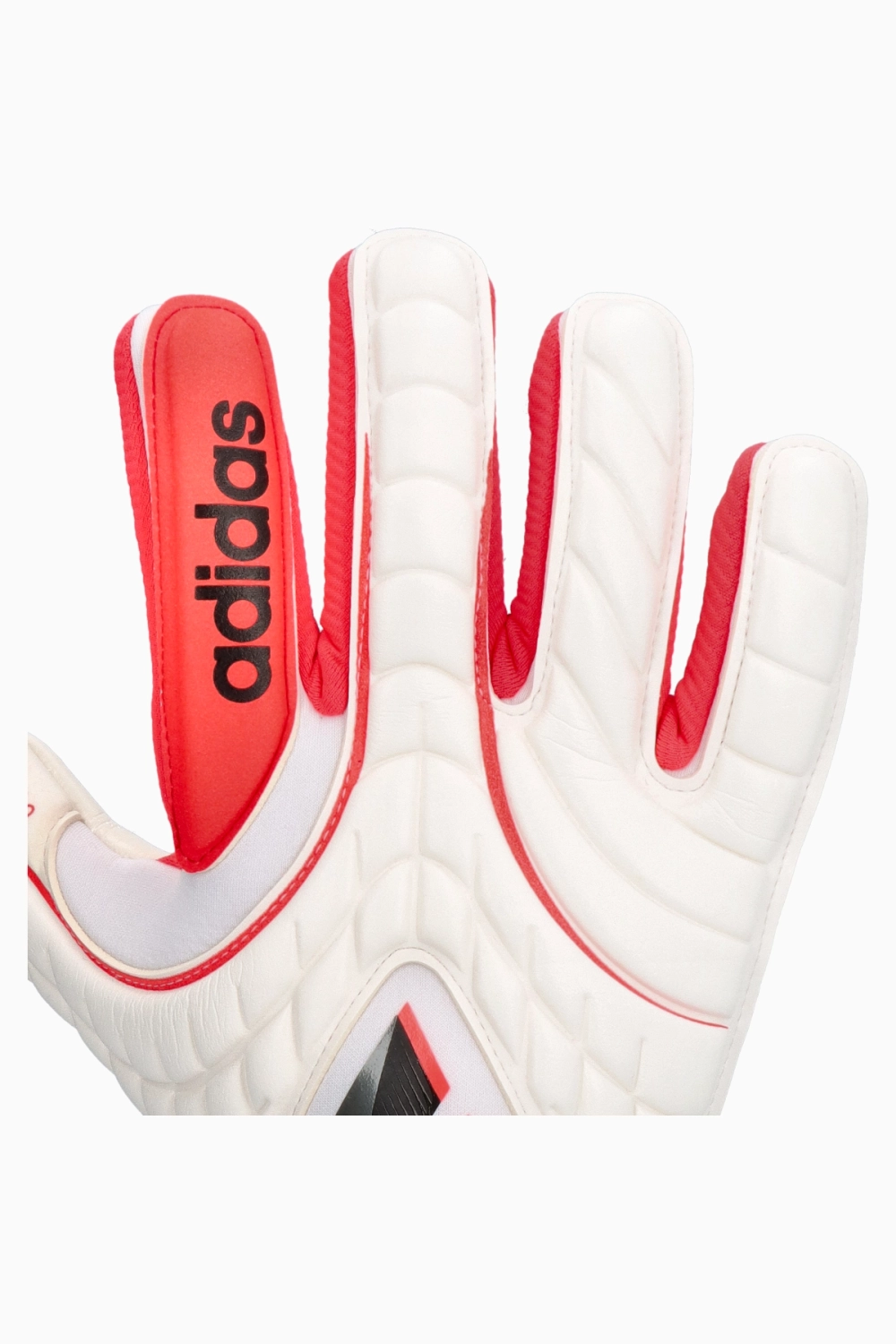 Вратарские перчатки adidas Copa Pro - белый