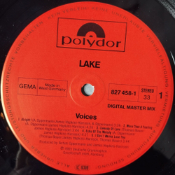Винтажная виниловая пластинка LP Lake Voices (Germany 1985)