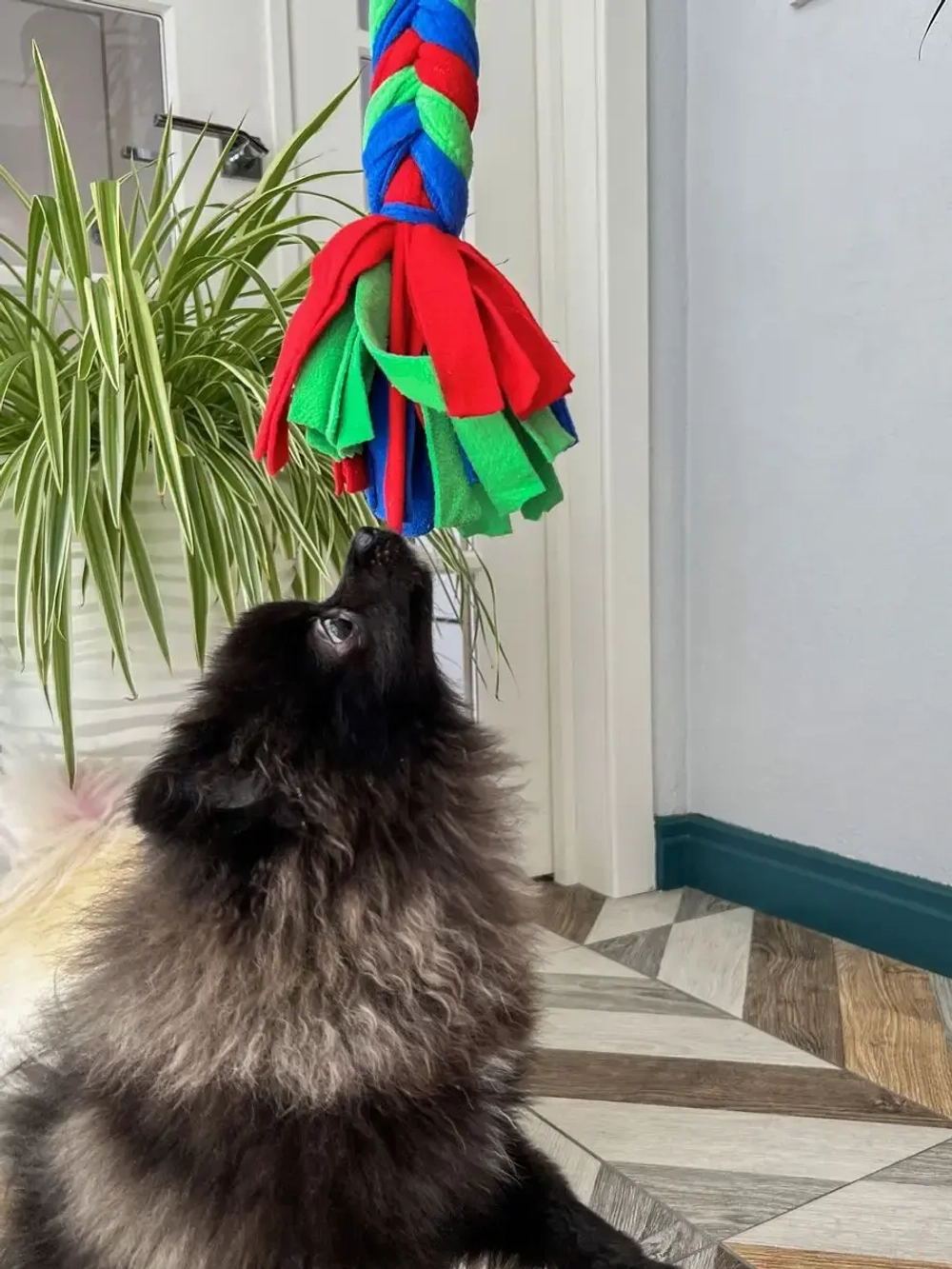 Игрушка для собак ухватка-перетяжка Косичка 90см