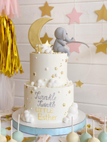 Twinkle Twinkle Little Star
